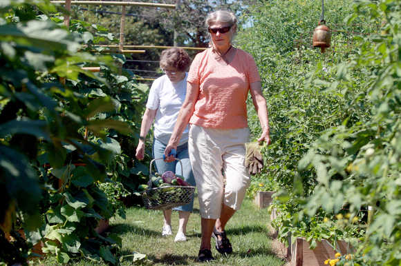 Raleigh News & Observer: Community gardens are in residents’ hands