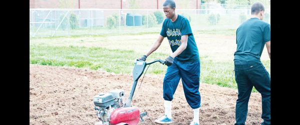 Grant to Strengthen Community Garden Program