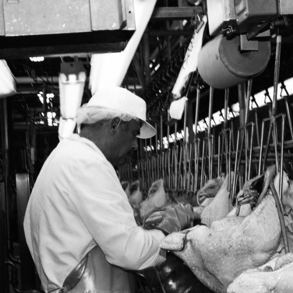 Tough Road Ahead for NC Poultry Workers