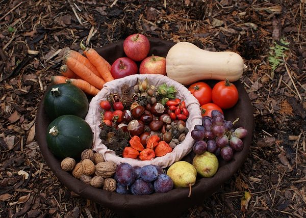 The Bounty of Fall: The Wisdom of Seasonal Eating
